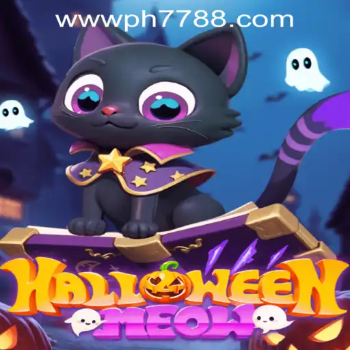 HalloweenMeow: A Spooktacular Adventure Awaits